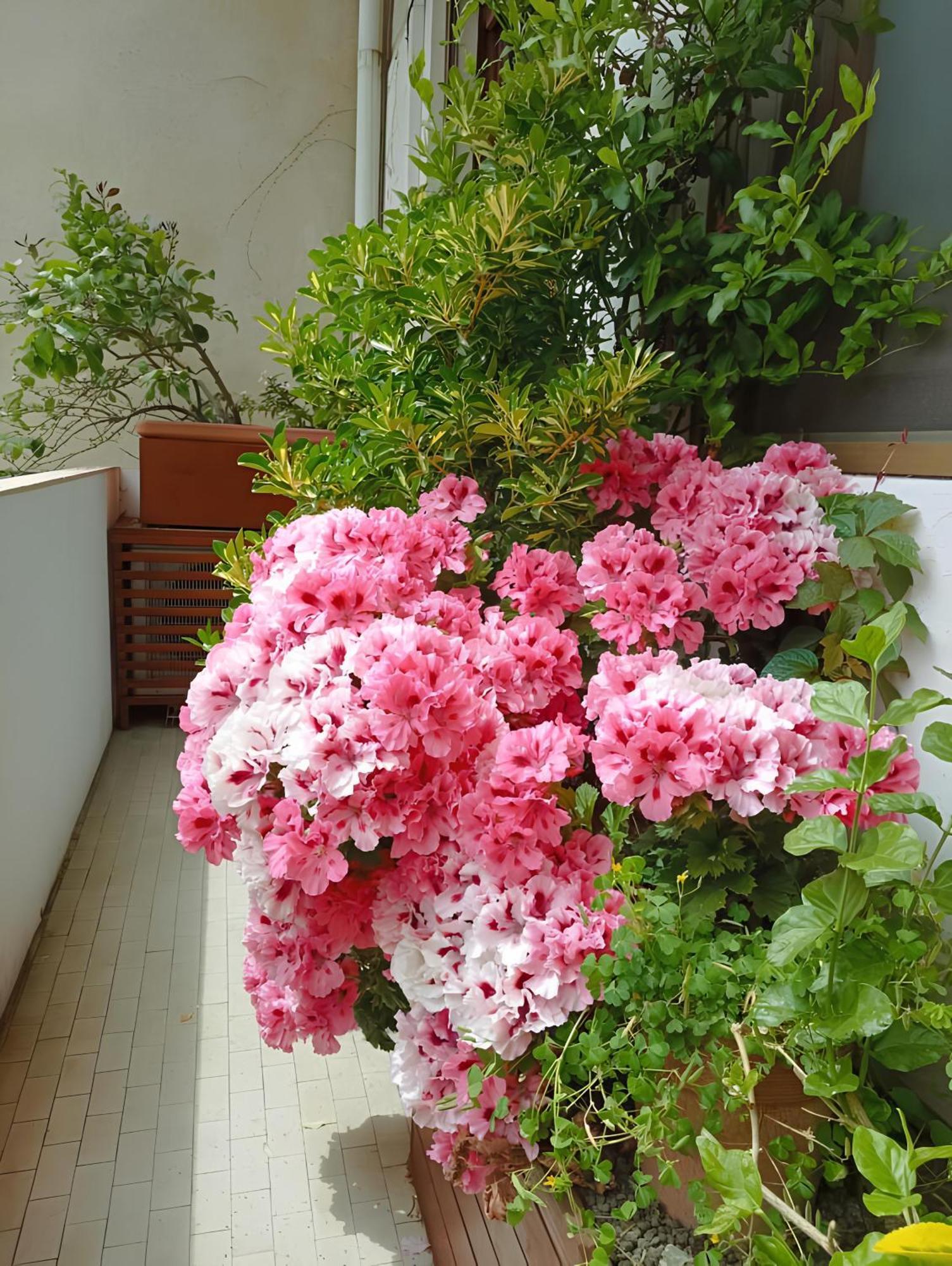 La Casa Dei Fiori Apartment Firenze Bagian luar foto